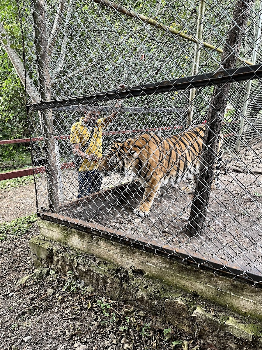 Zoologico de Trinitaria