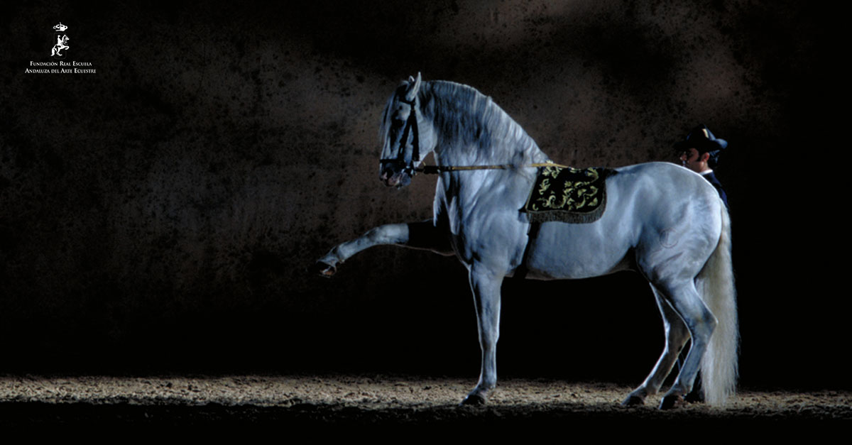 Royal Andalusian School of Equestrian Art