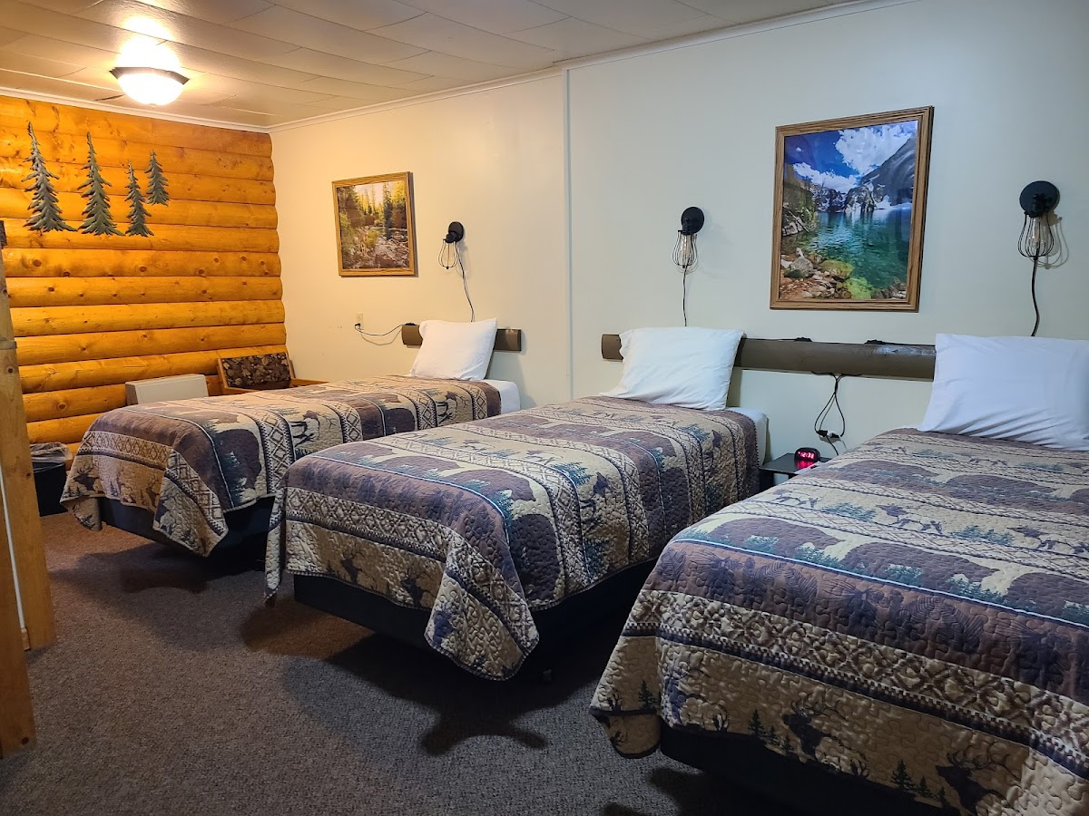 Three Bears Motel of Lincoln photo 2