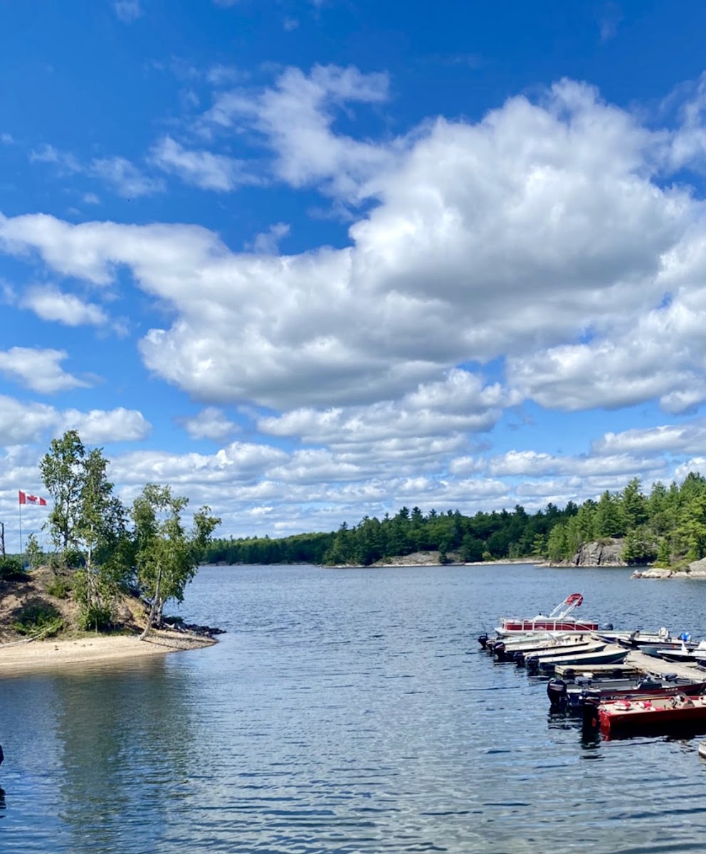 Tumblehome Lodge
