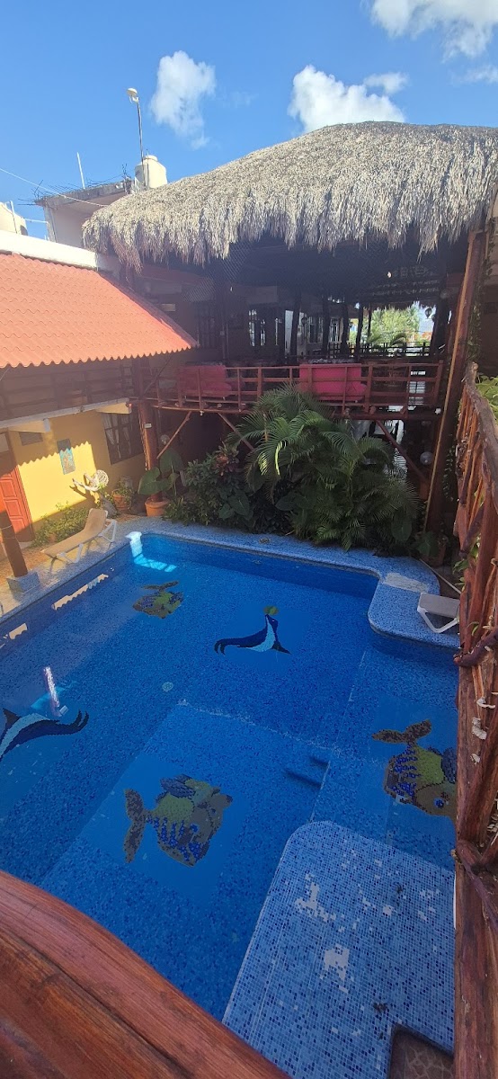Hotel Bello Caribe Express photo 2