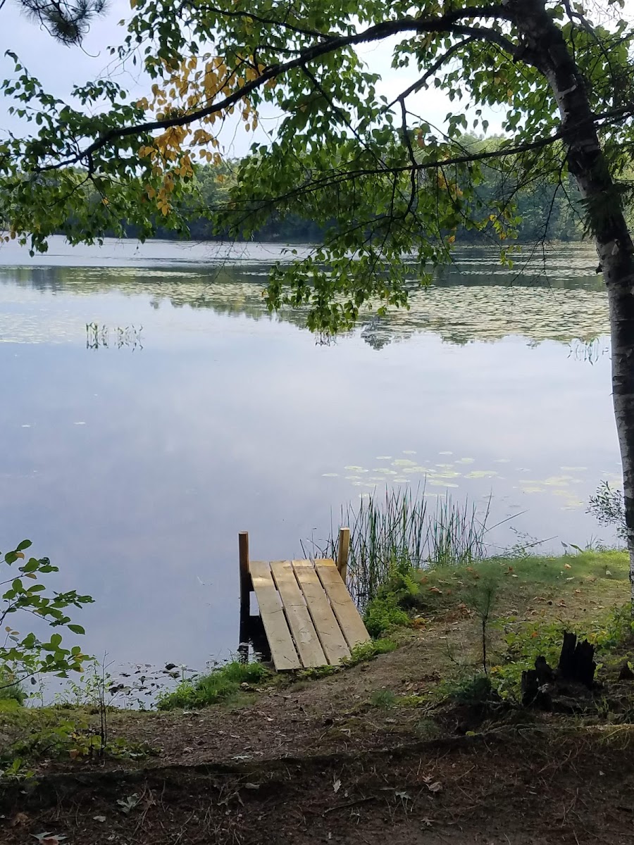 Duck Point Resort photo 2