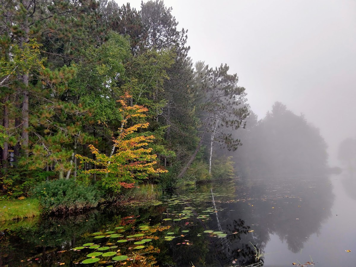 Duck Point Resort photo 3