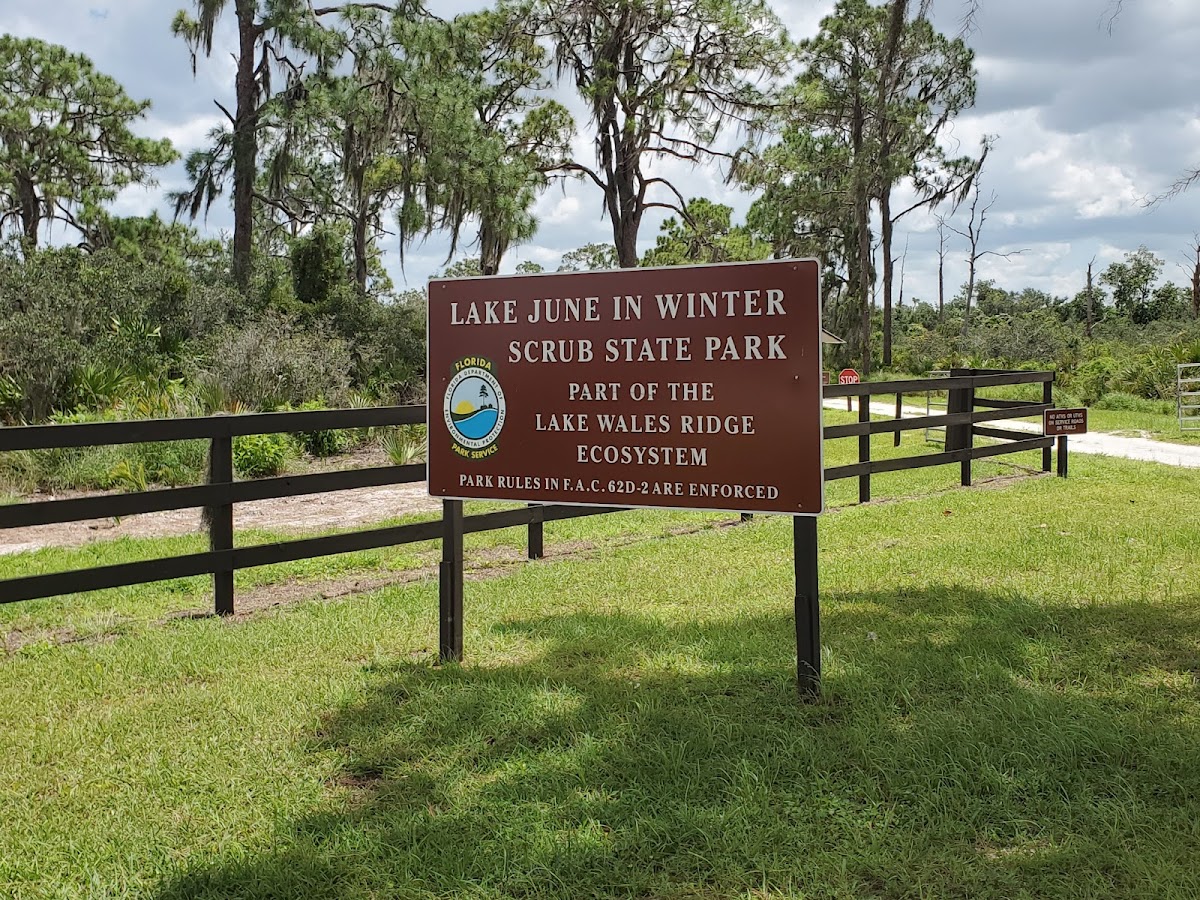 Lake June in Winter Scrub Preserve State Park