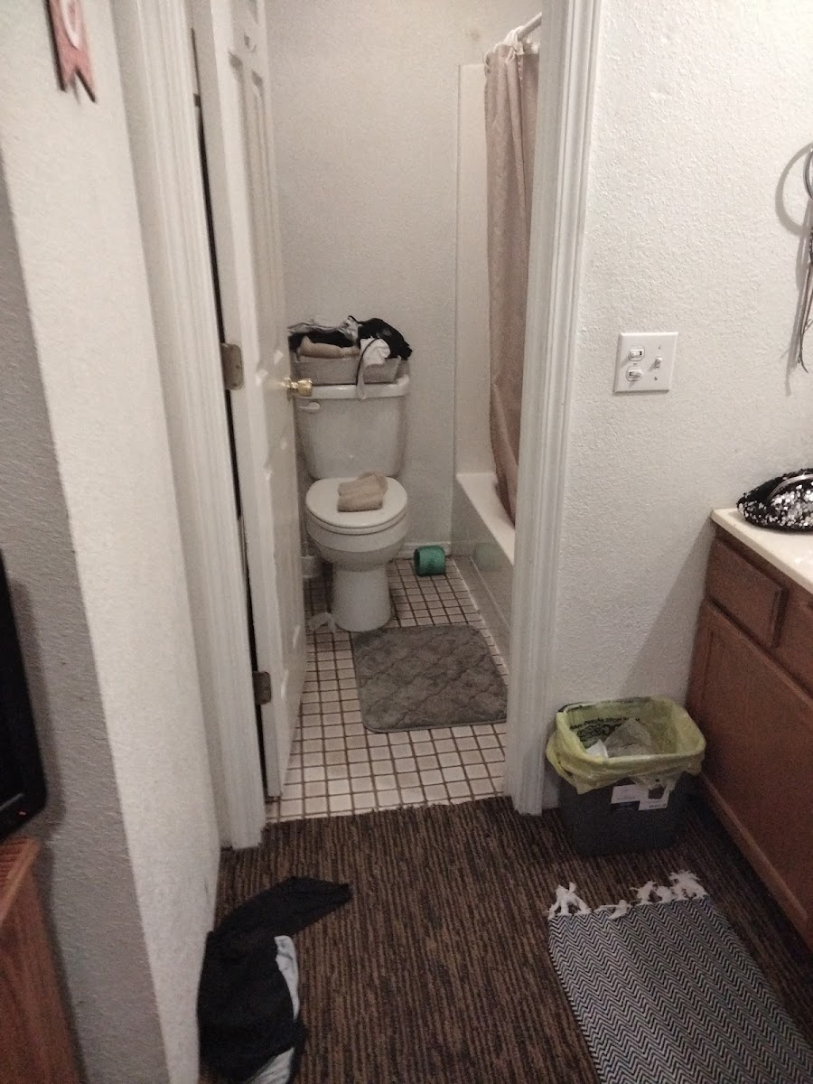 Galena Motel photo 3