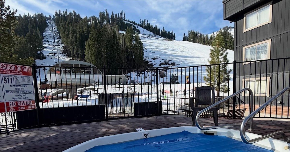Red Wolf Lodge at Olympic Valley photo 3