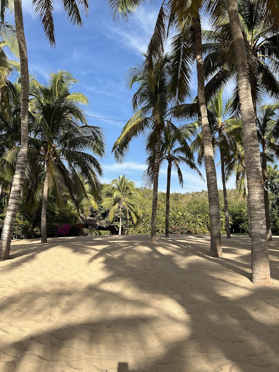 Playa Caleta Blanca