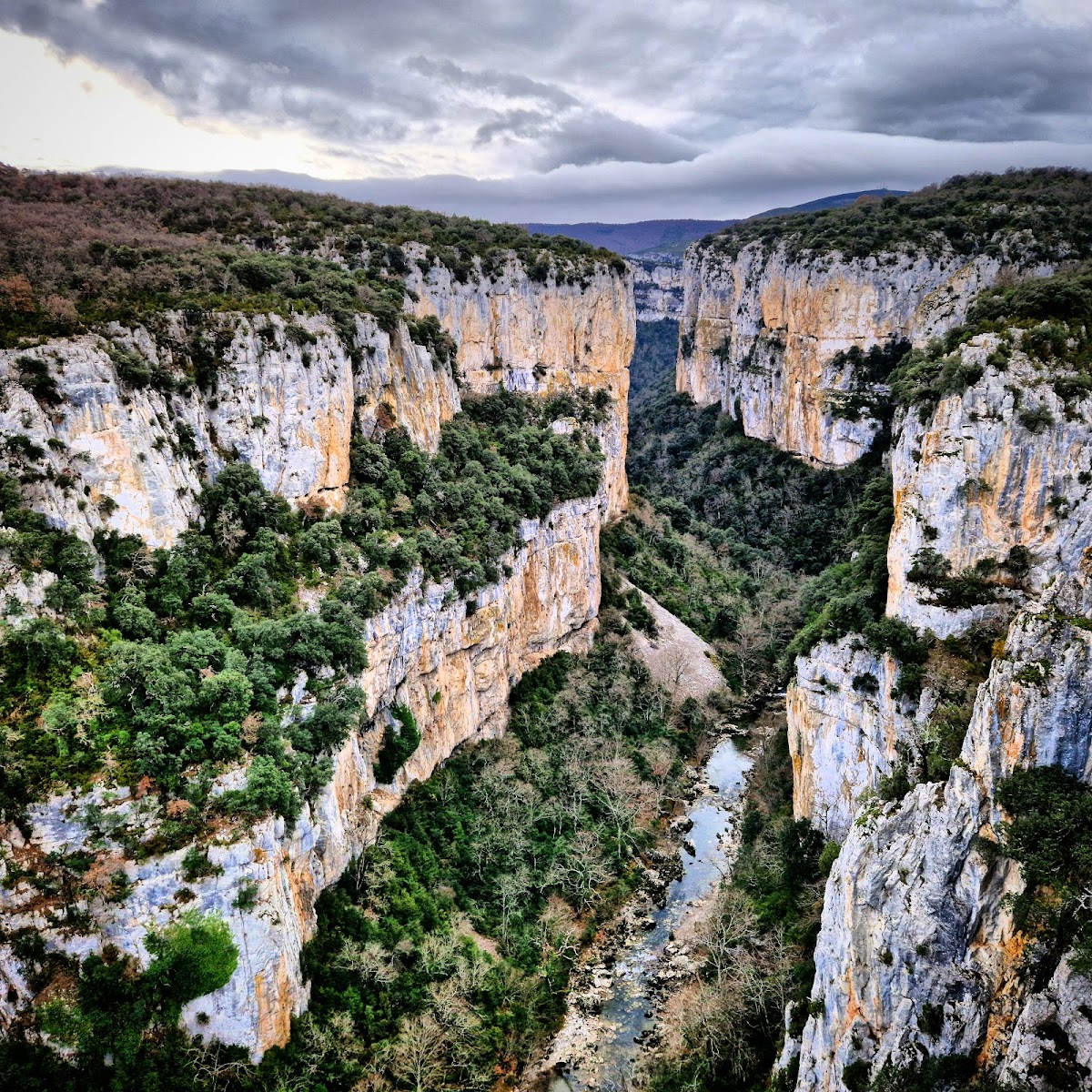 Foz de Arbayún
