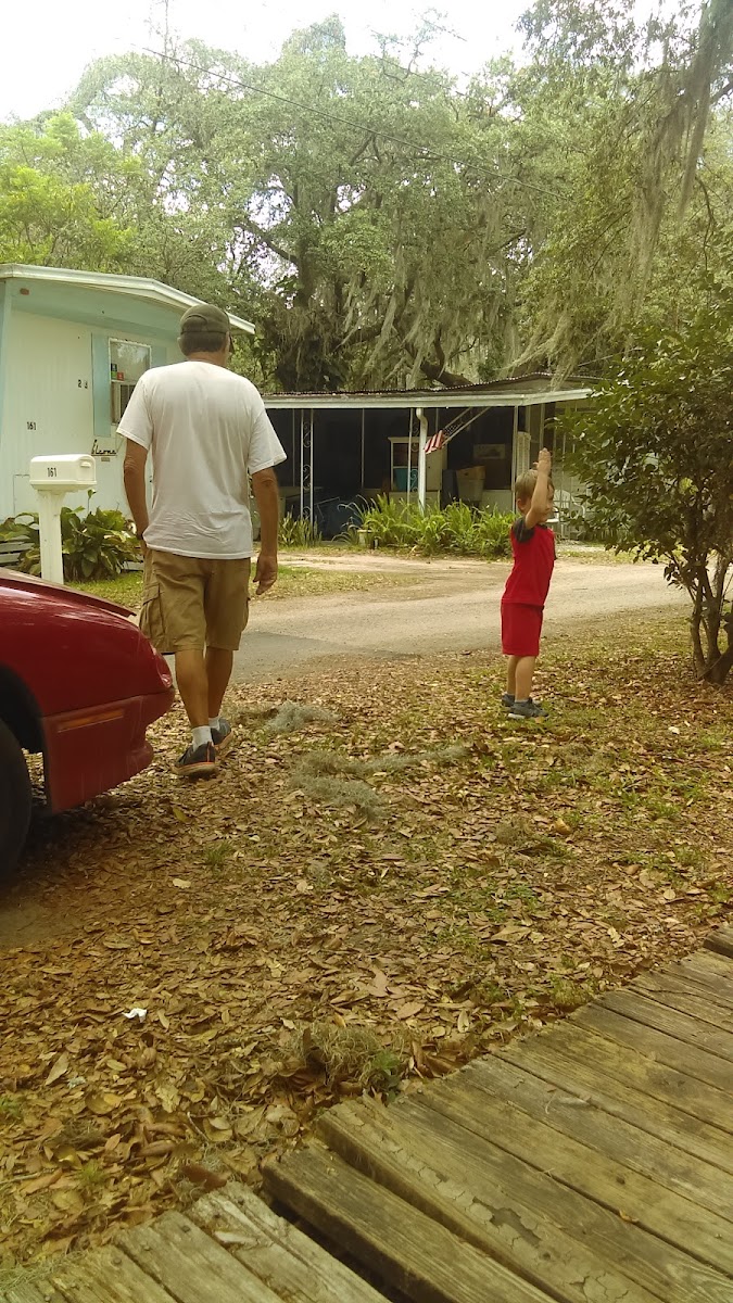 Camp Knox Motel photo 2
