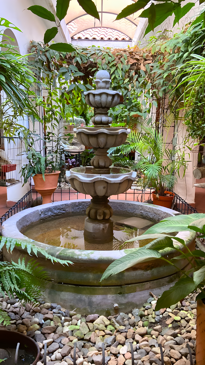 HOTEL BOUTIQUE CASA VIEJA