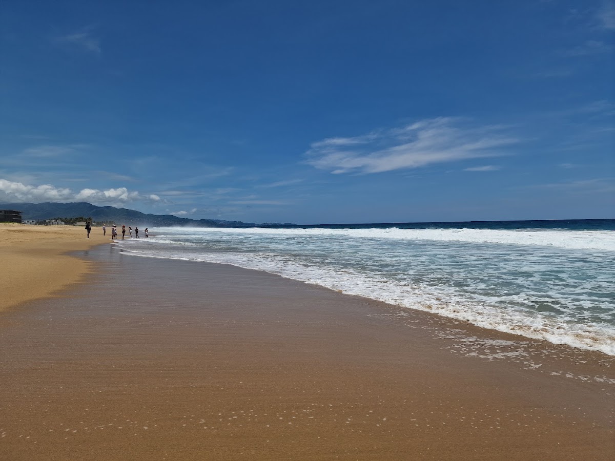 El Terreno Club de Playa photo 3