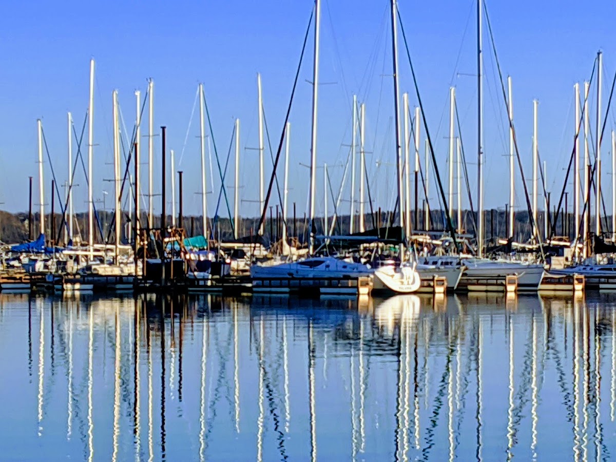 Cedar Mills Marina & Resort photo 3