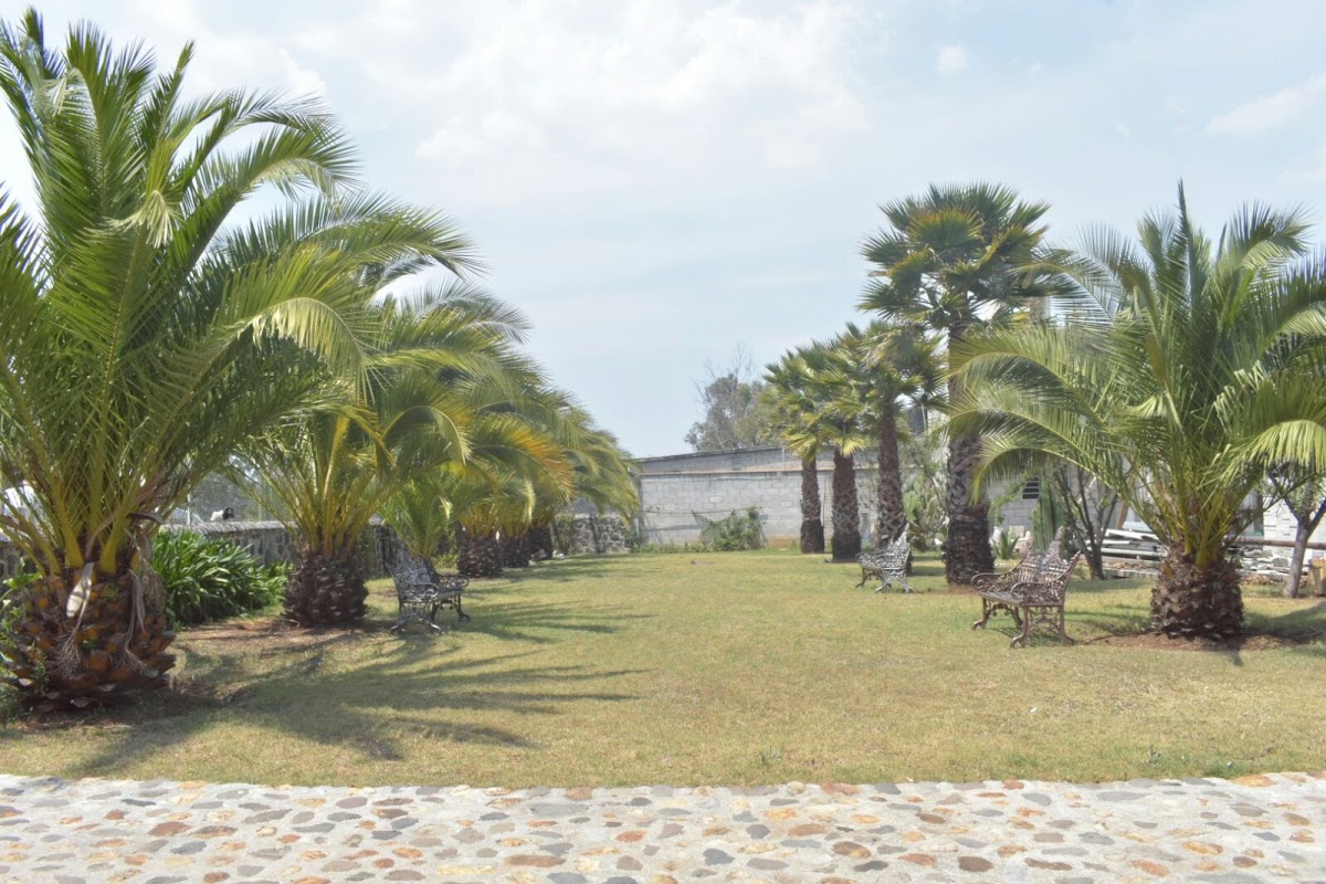 Hospedaje Santa Rosa photo 3