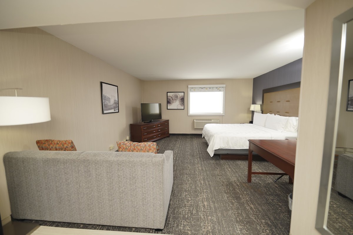 Holiday Inn & Suites Chicago-Carol Stream (Wheaton) by IHG photo 3