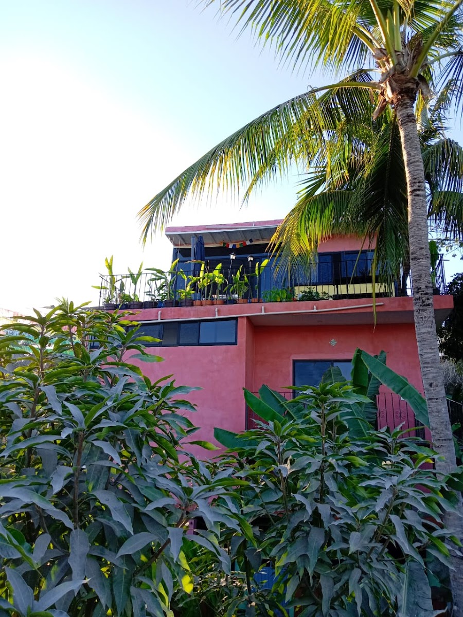 Casa Rosa ???? photo 2