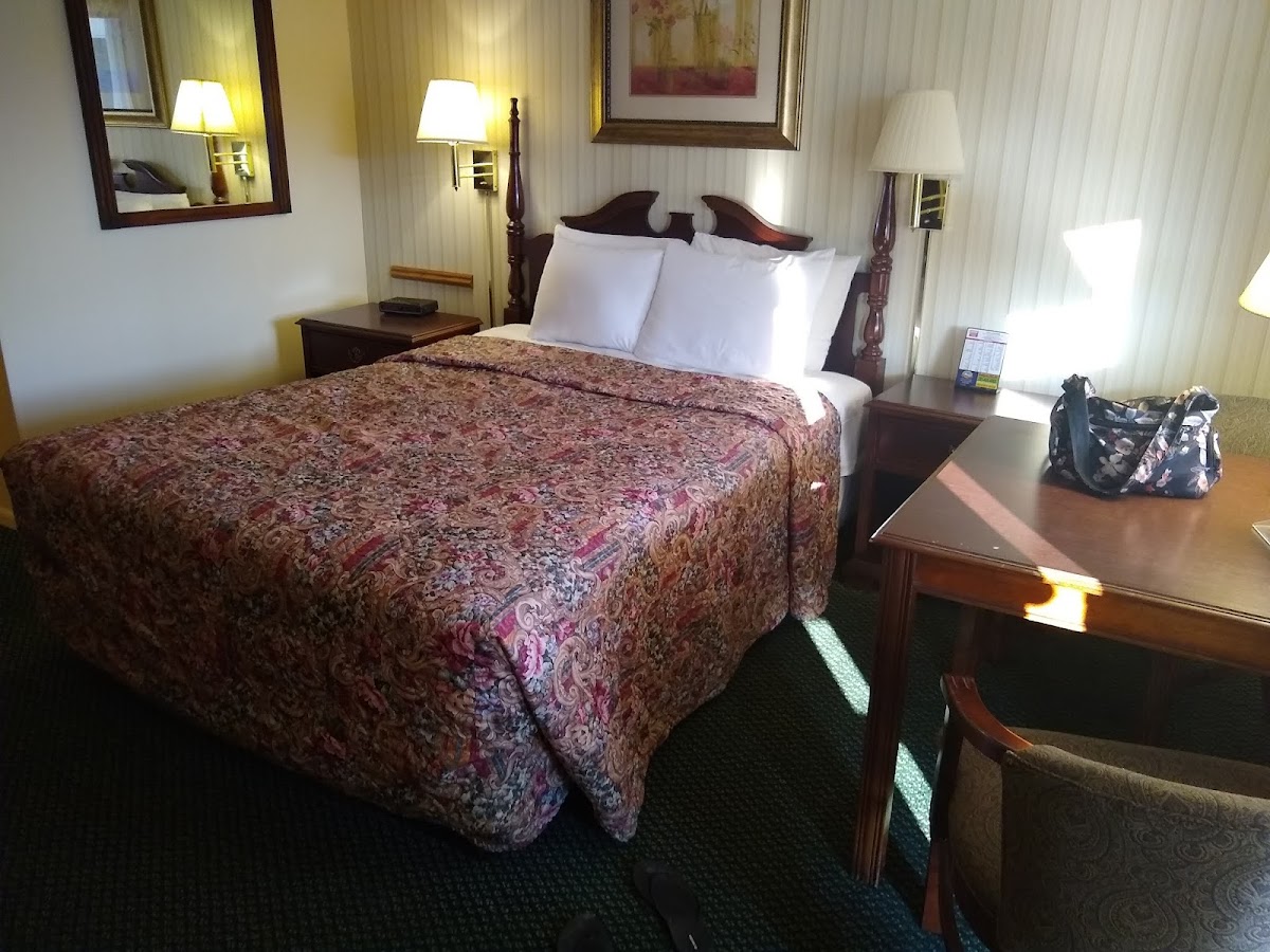 Starlite Budget Inn photo 2