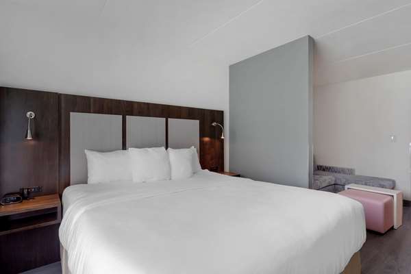 Comfort Suites Mt. Juliet-Nashville Area photo 3