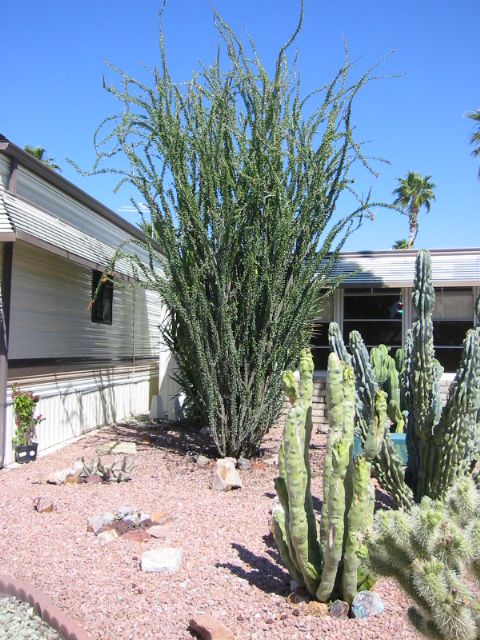 Venture Out Resort photo 2