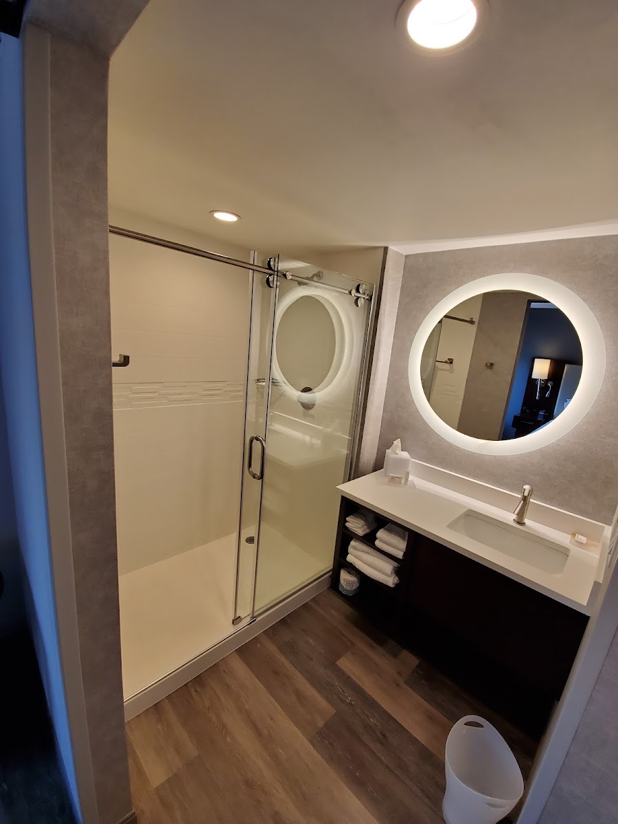 SpringHill Suites by Marriott Atlanta Downtown photo 2