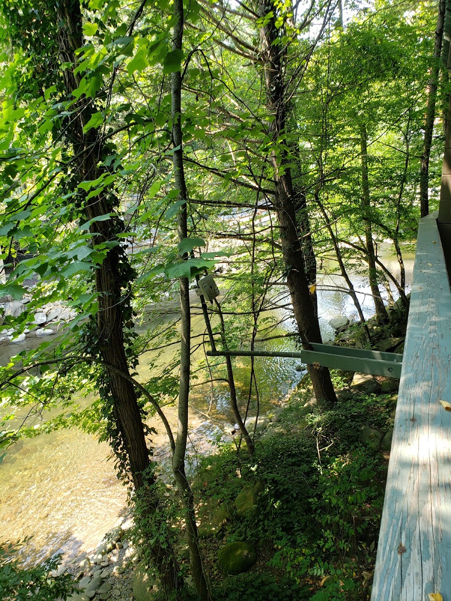 Riverhouse at the Park photo 3