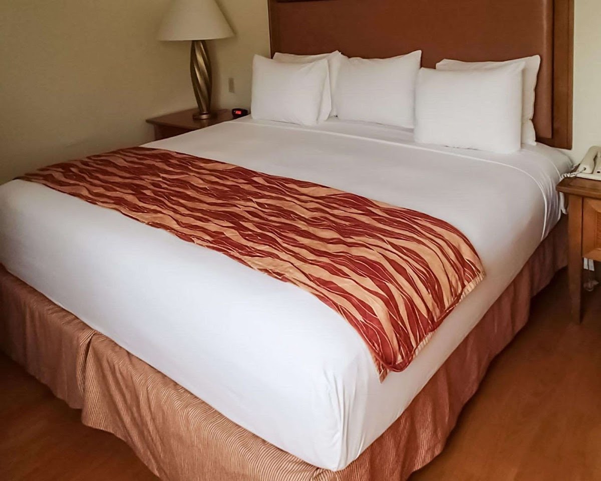 Rodeway Inn South Miami - Coral Gables photo 2