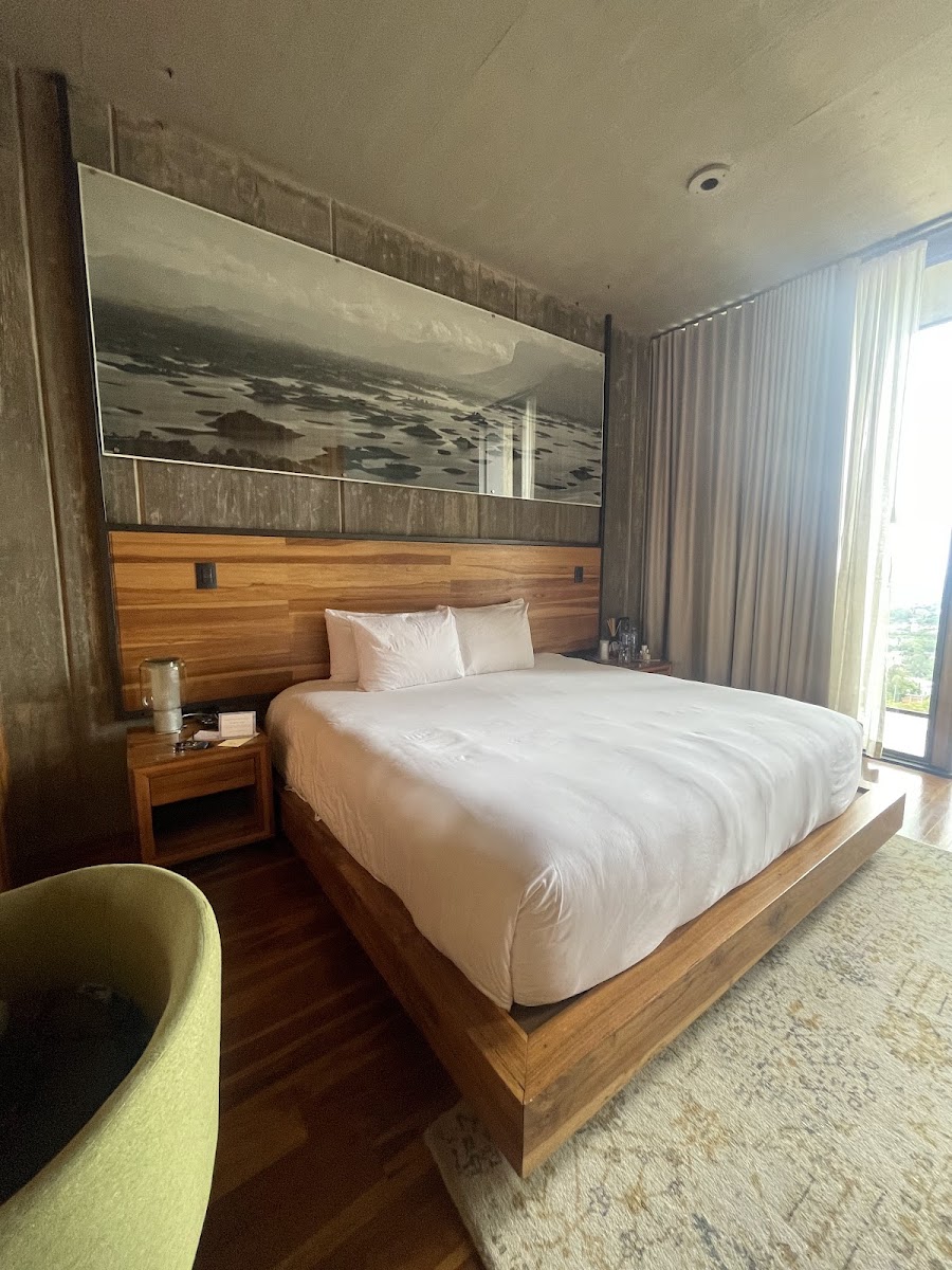 Flavia Hotel photo 2