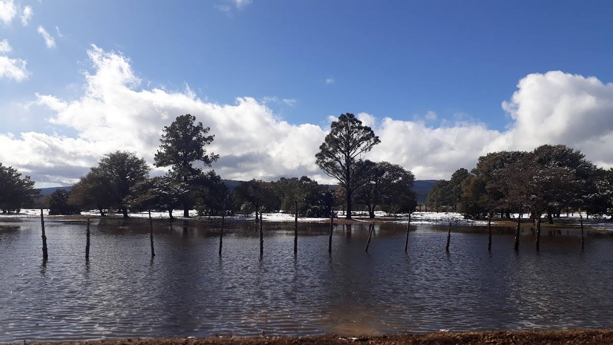 Presa Peñitas