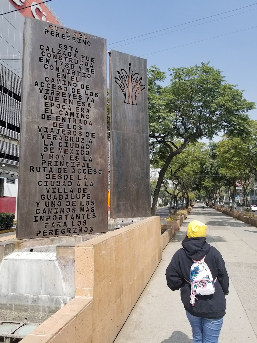 Ruta del Peregrino