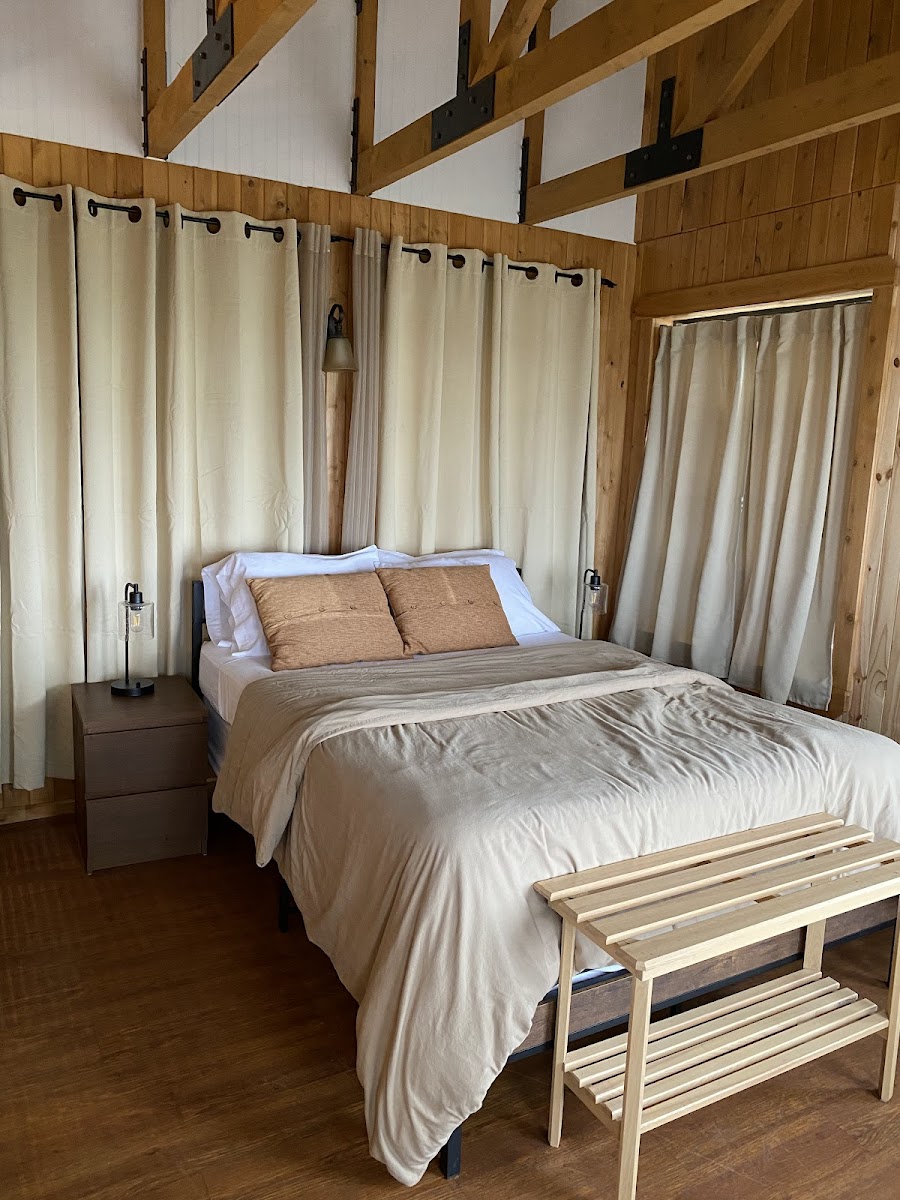 Houses Great Blue Heron photo 2