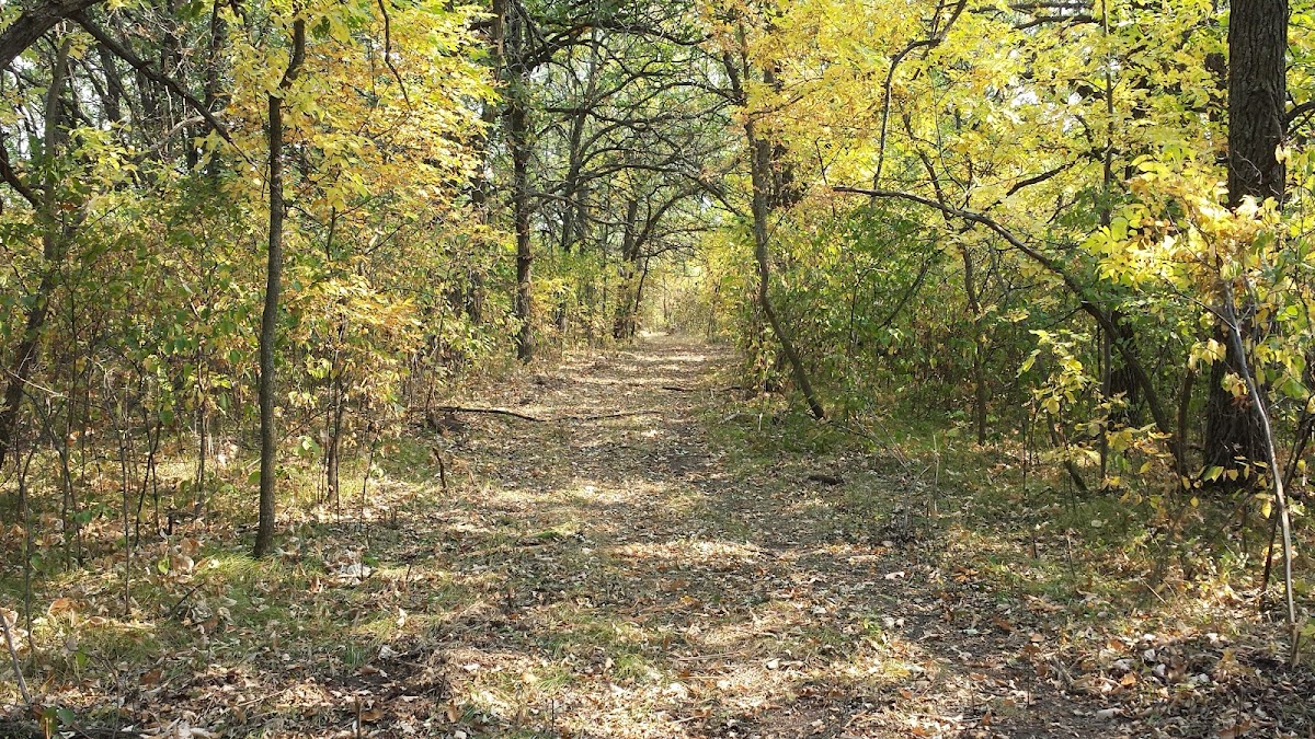 Birch Ski Area photo 2