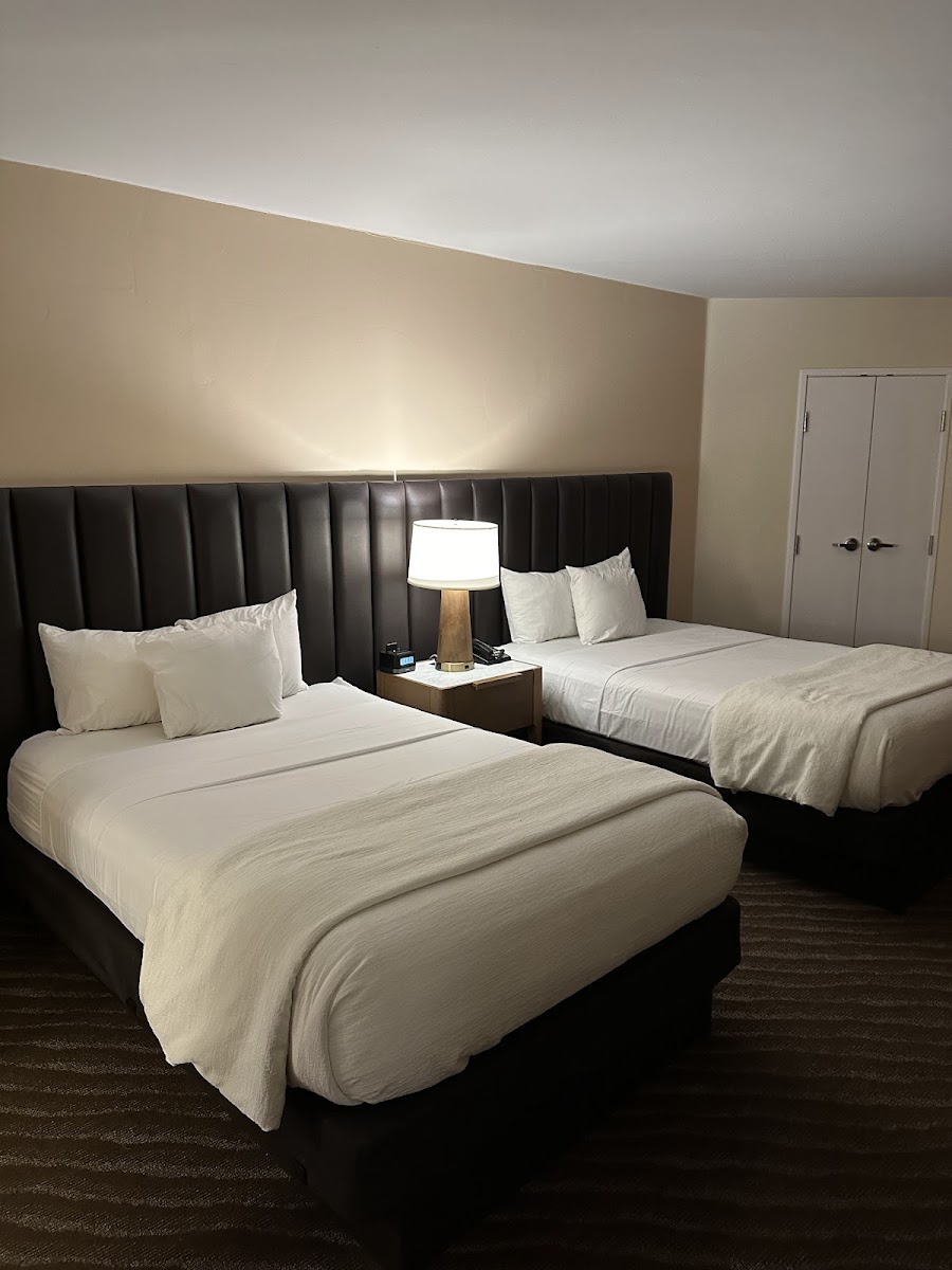 Embassy Suites by Hilton Phoenix Scottsdale photo 2