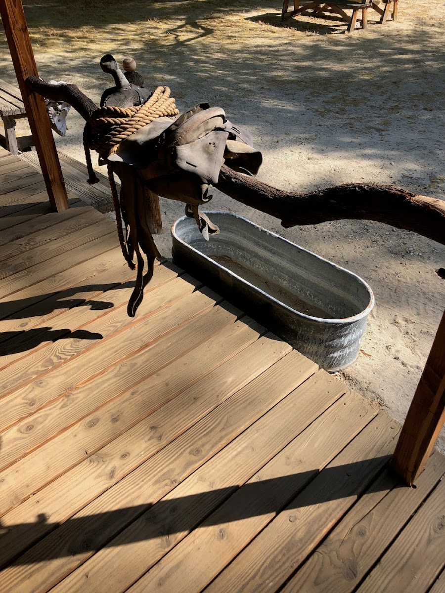 Bubbling Wells Oasis photo 3
