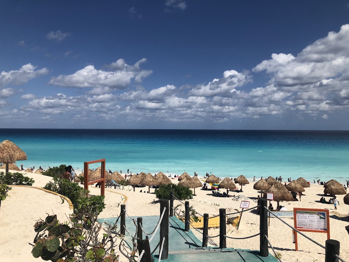 Dolphins Beach