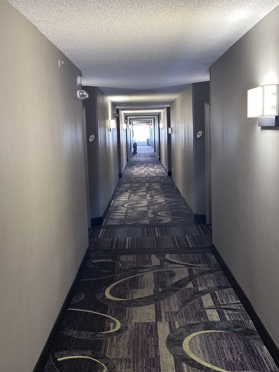 La Quinta Inn & Suites by Wyndham Grand Junction photo 3