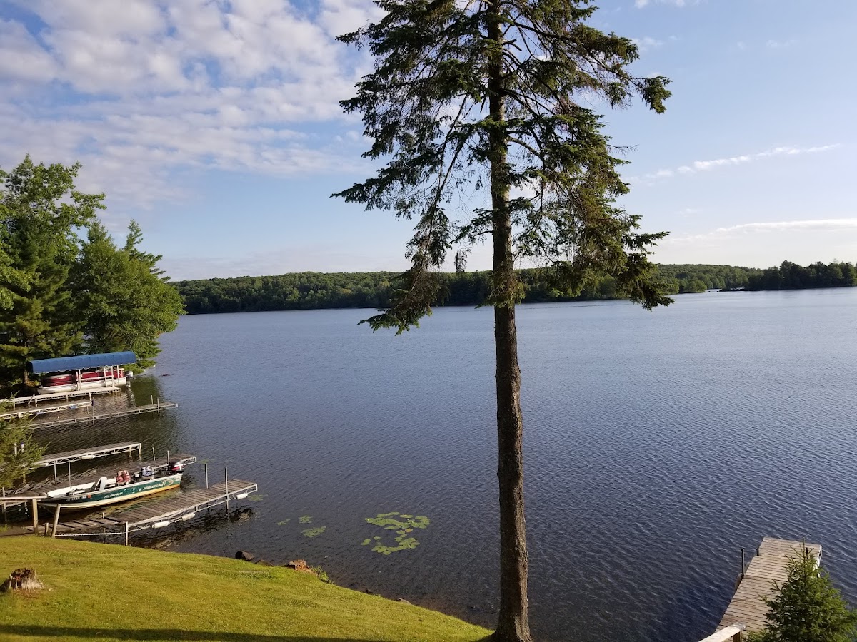 Reiske's Island View Resort photo 2