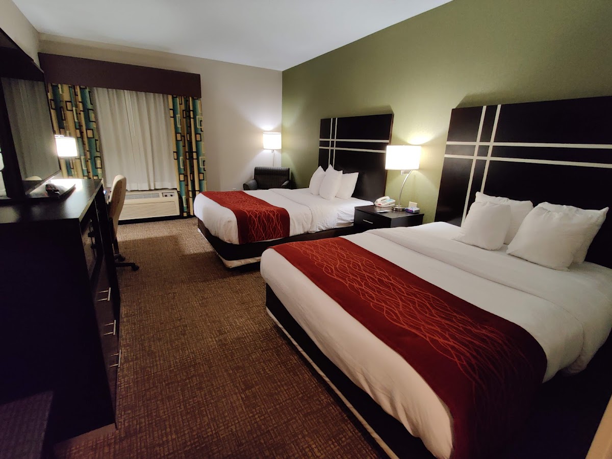 Comfort Inn & Suites Maumee - Toledo (I80-90) photo 2