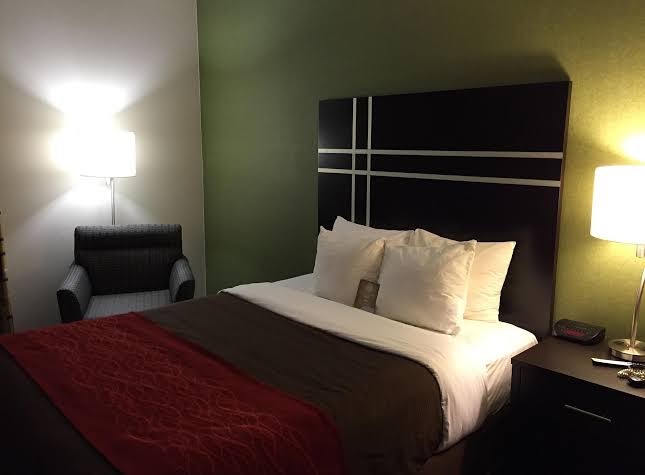 Comfort Inn & Suites Maumee - Toledo (I80-90) photo 3