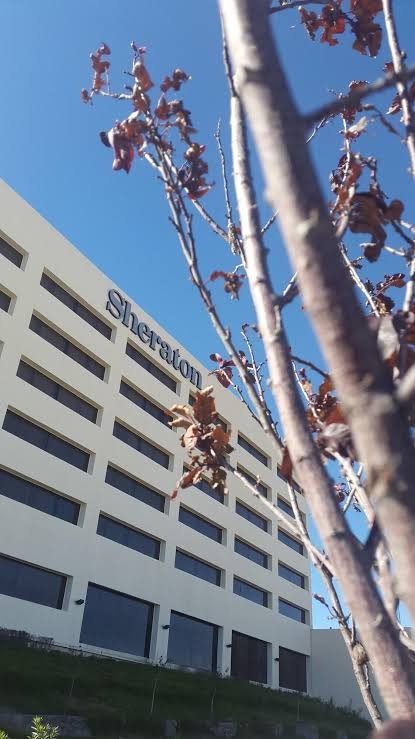 Sheraton Chihuahua Soberano photo 3