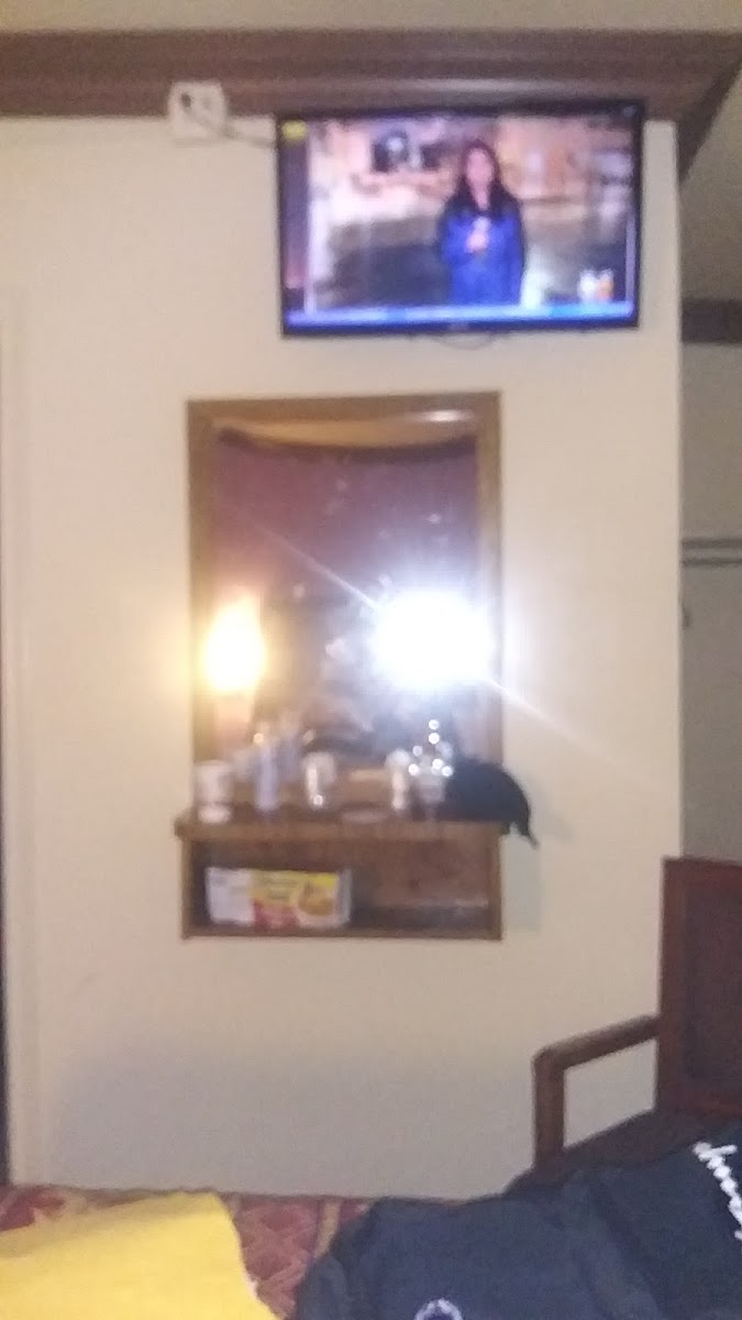 Mi Casita Merle Motel photo 3