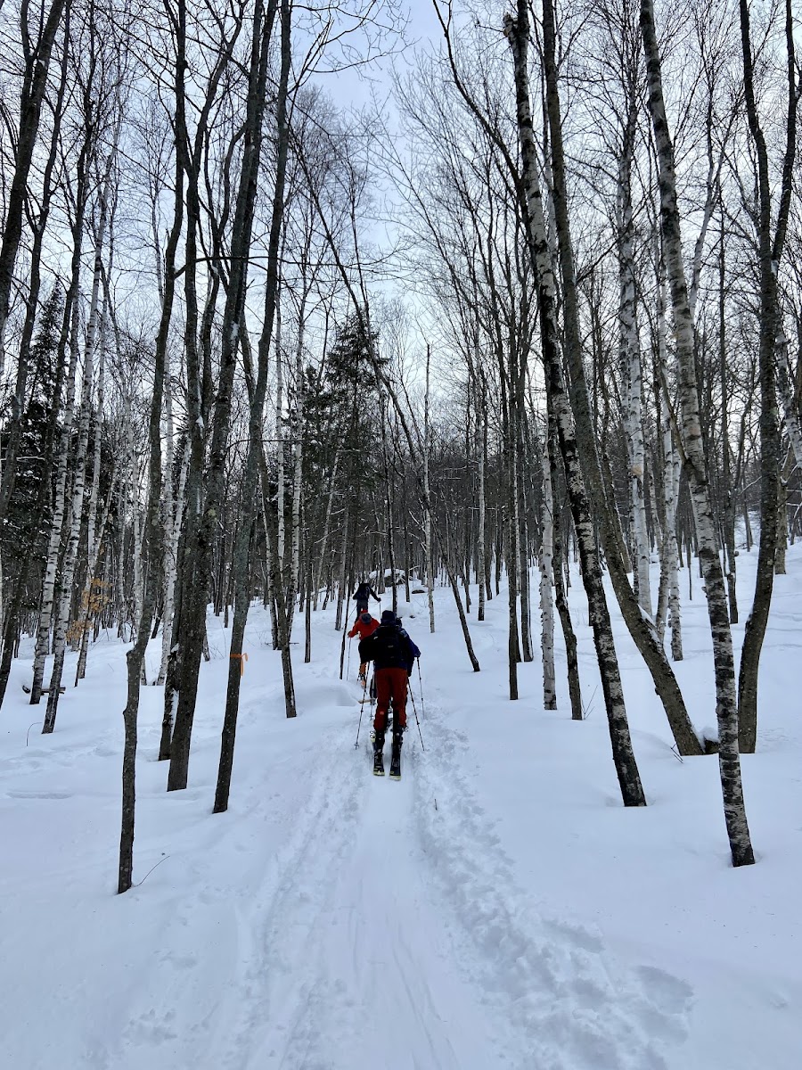 Mont Alta photo 2