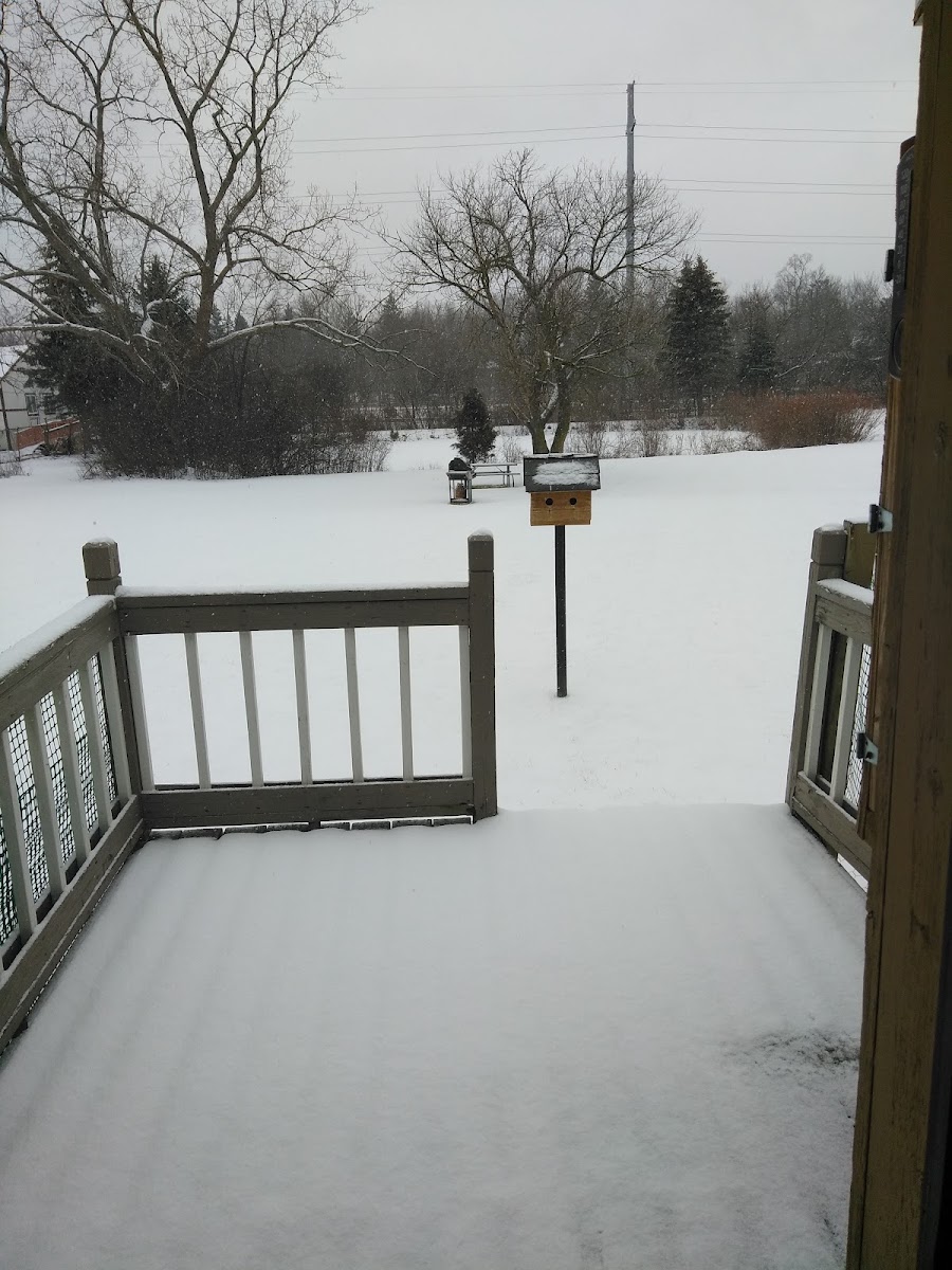 Park Motel of Farmington Hills photo 3