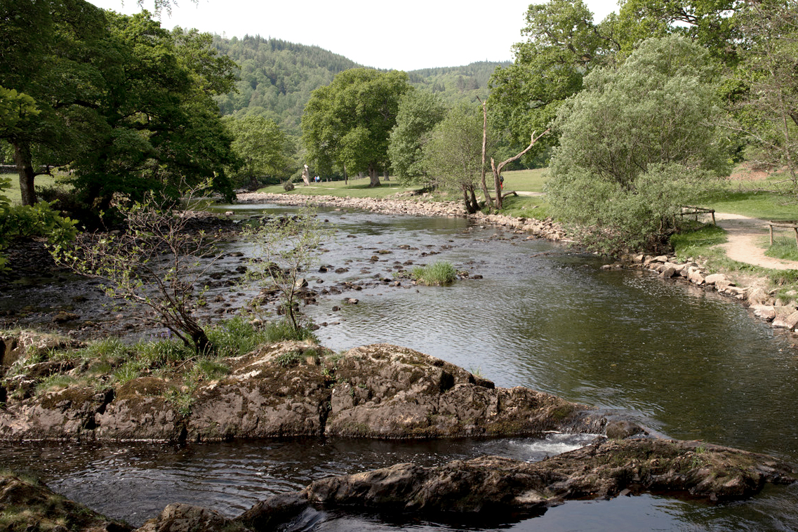Garth Dderwen photo 3