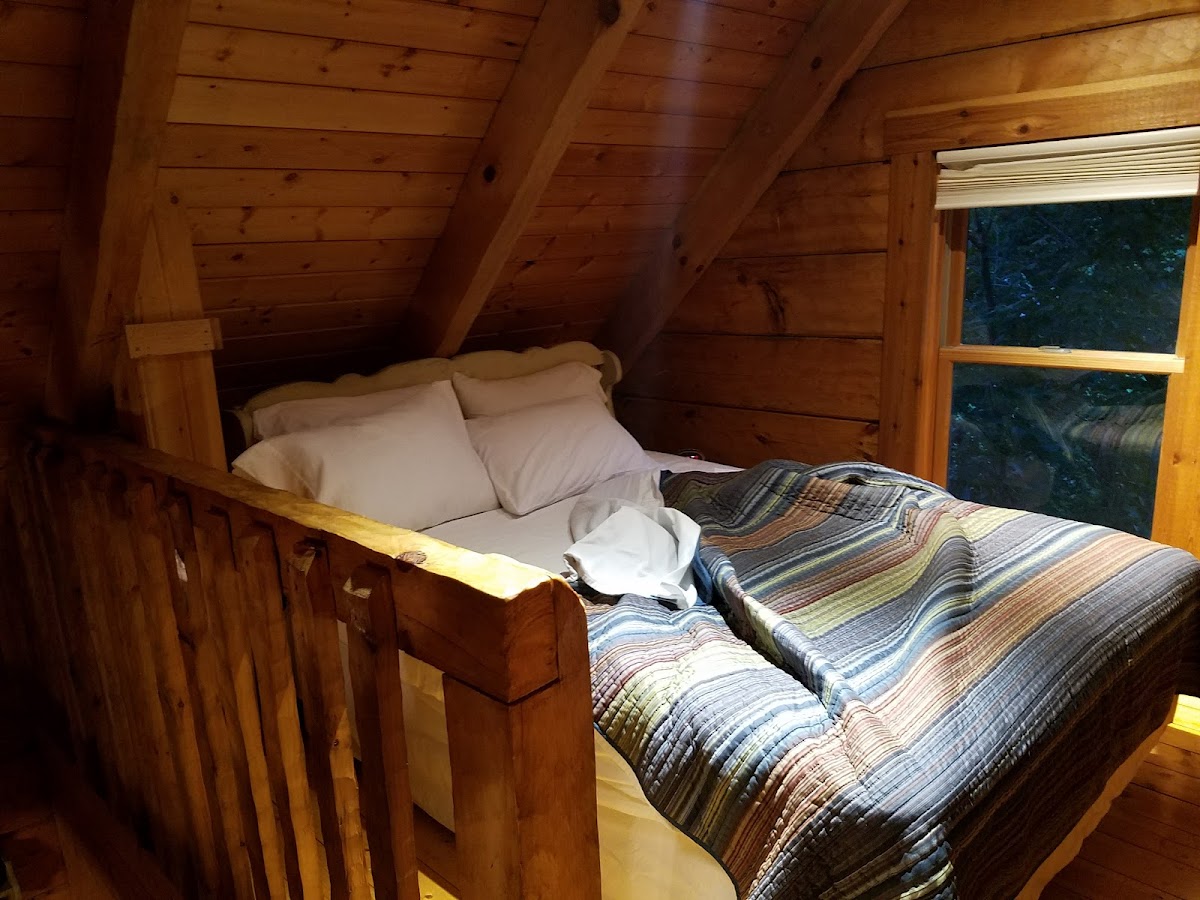 The Cabins At Trails End photo 2