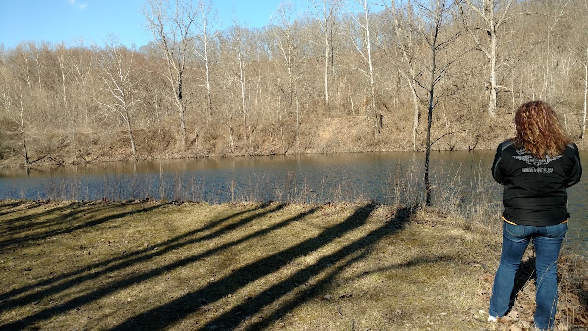 The Cabins At Trails End photo 3