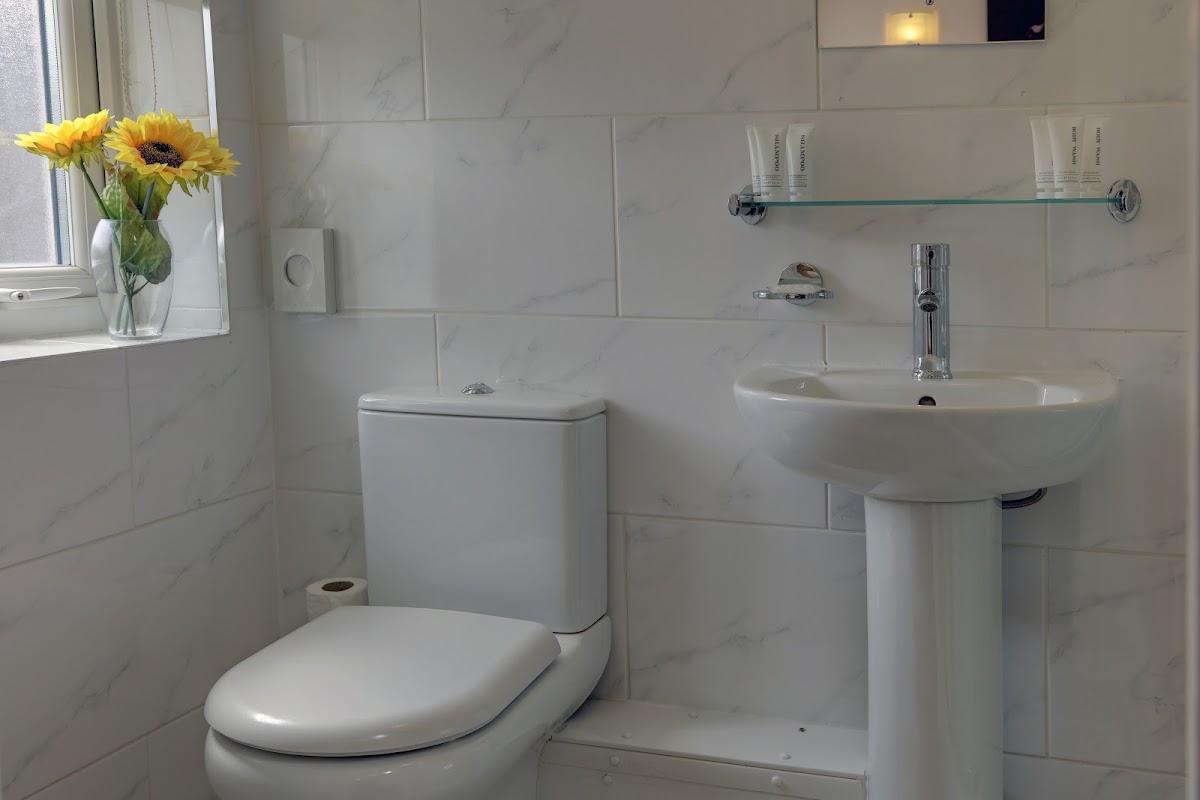 Best Western Greater London Hotel photo 3
