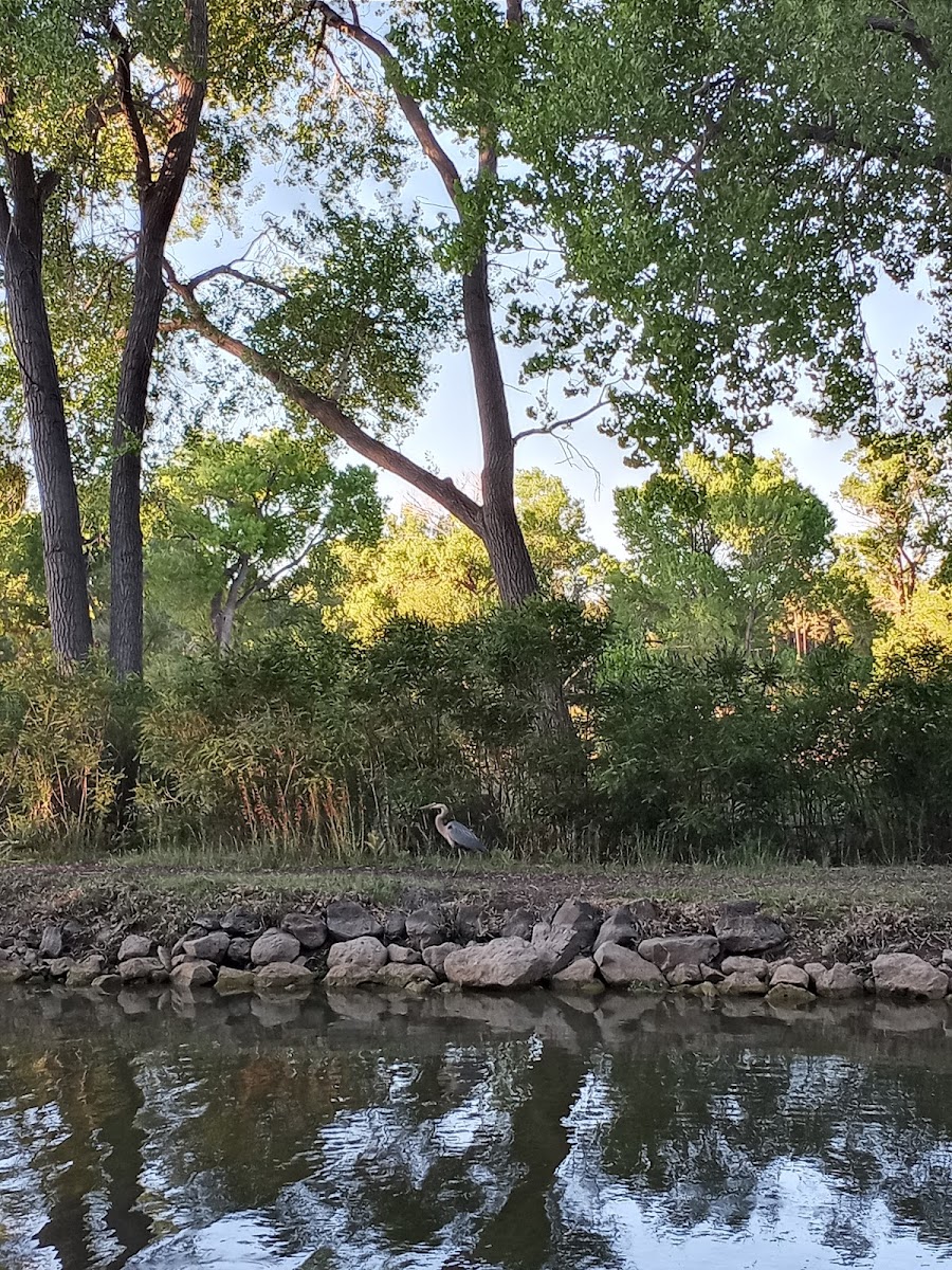 Lazy Oaks Resort photo 3