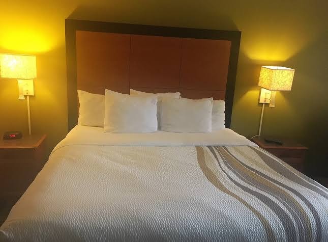 La Quinta Inn & Suites by Wyndham St. Pete-Clearwater Airpt photo 2