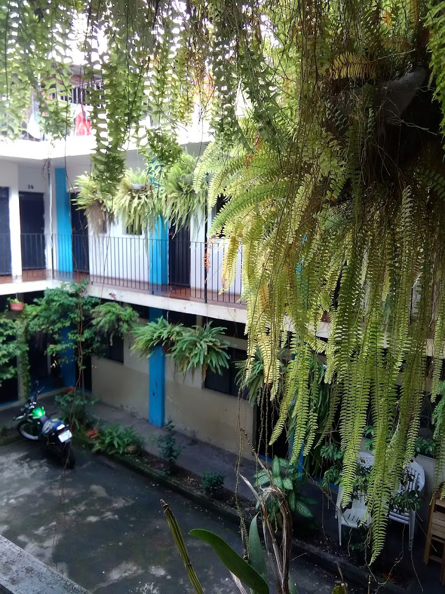 Hotel Sadai photo 2