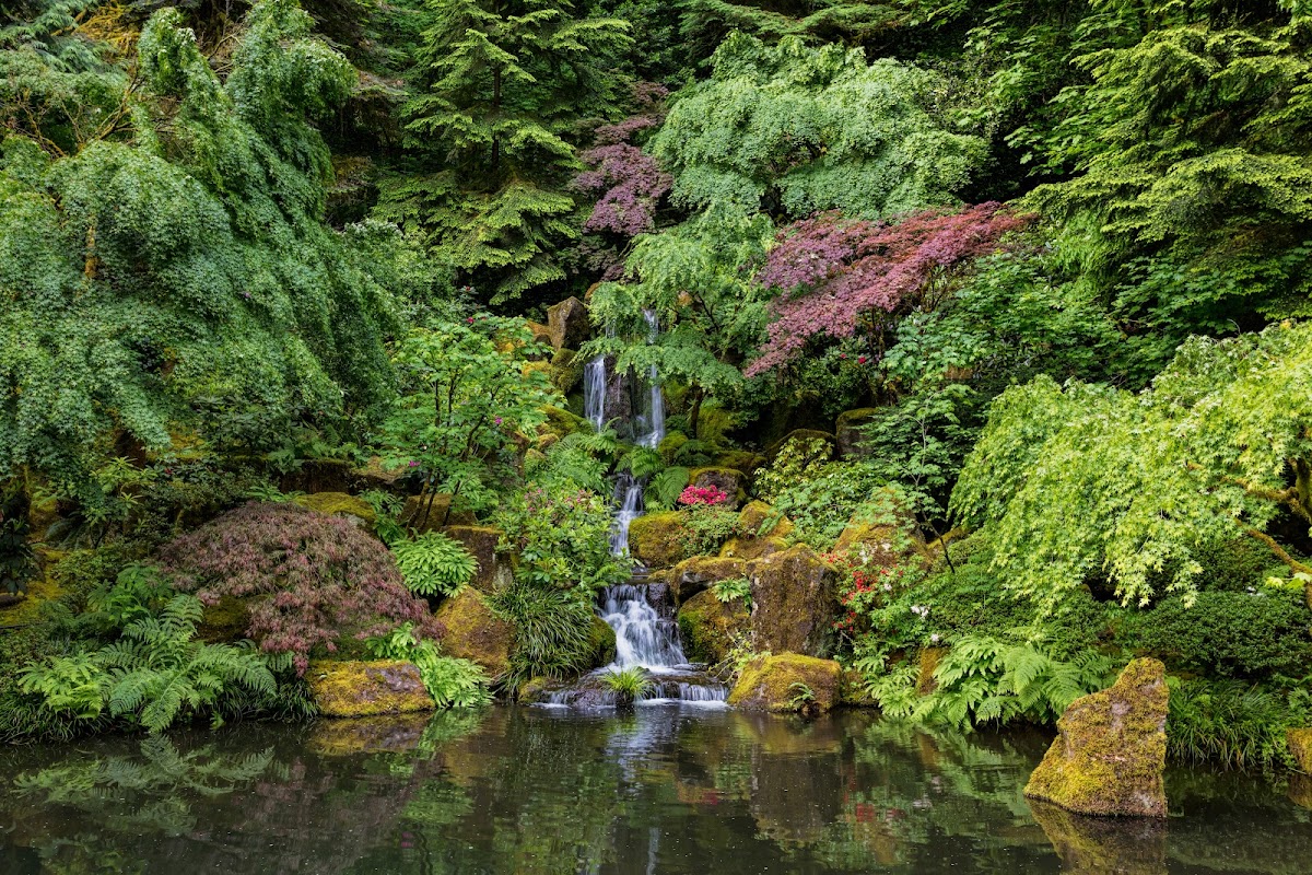 Portland Japanese Garden