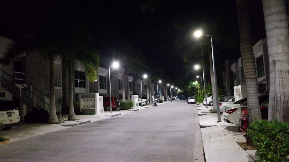 Anemona Playacar photo 2